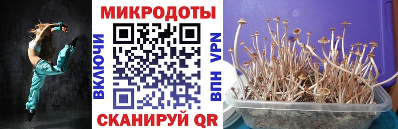 Псилоцибиновые грибы ЛСД Купить где Карталы